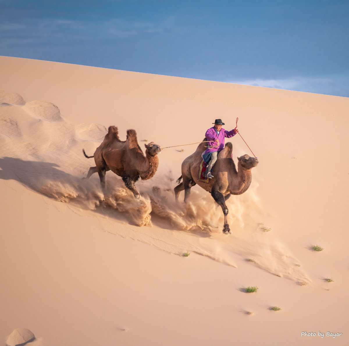 Great Gobi Camel Trekking Tour