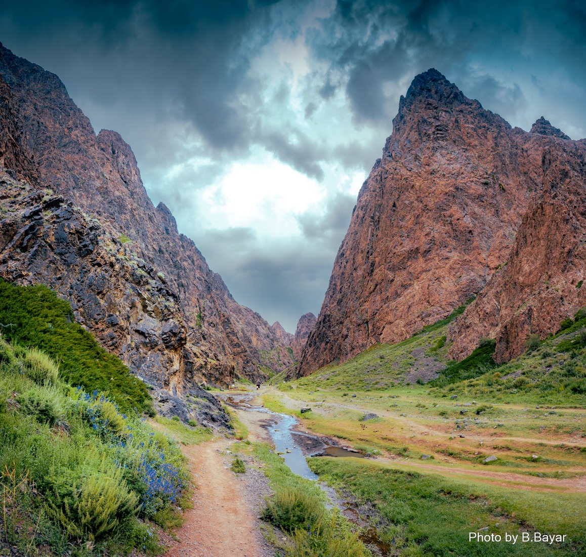 Gobi and Khuvsgul